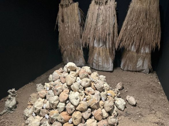 «Кожа Земли»: в Нижнем Новгороде проходит первая международная ЭкоБиеннале - фото 14