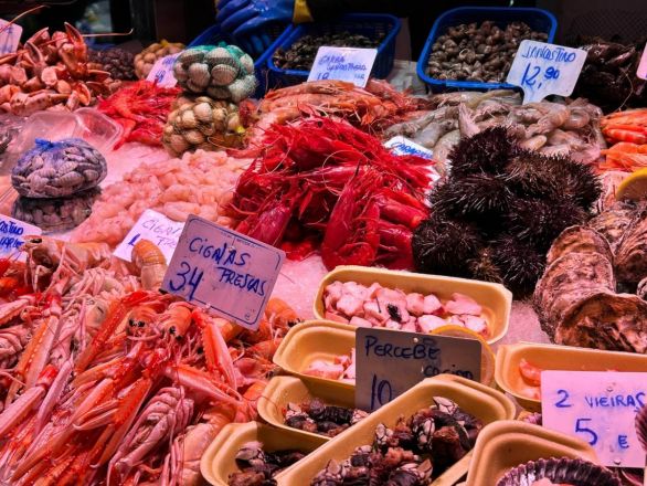 Морские гады, руины и потрясающий климат: вся правда о путешествии Барселона &mdash; Рим - фото 79