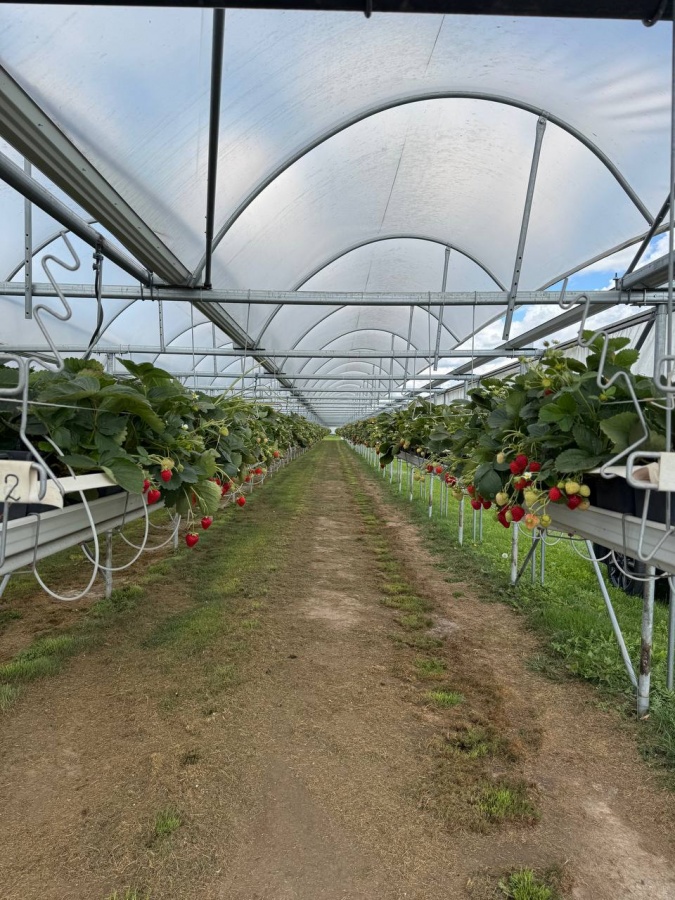 Евгений Люлин отметил, что практическое сотрудничество в сфере АПК делает сильнее и Нижегородскую область, и Беларусь, и все Союзное государство - фото 1