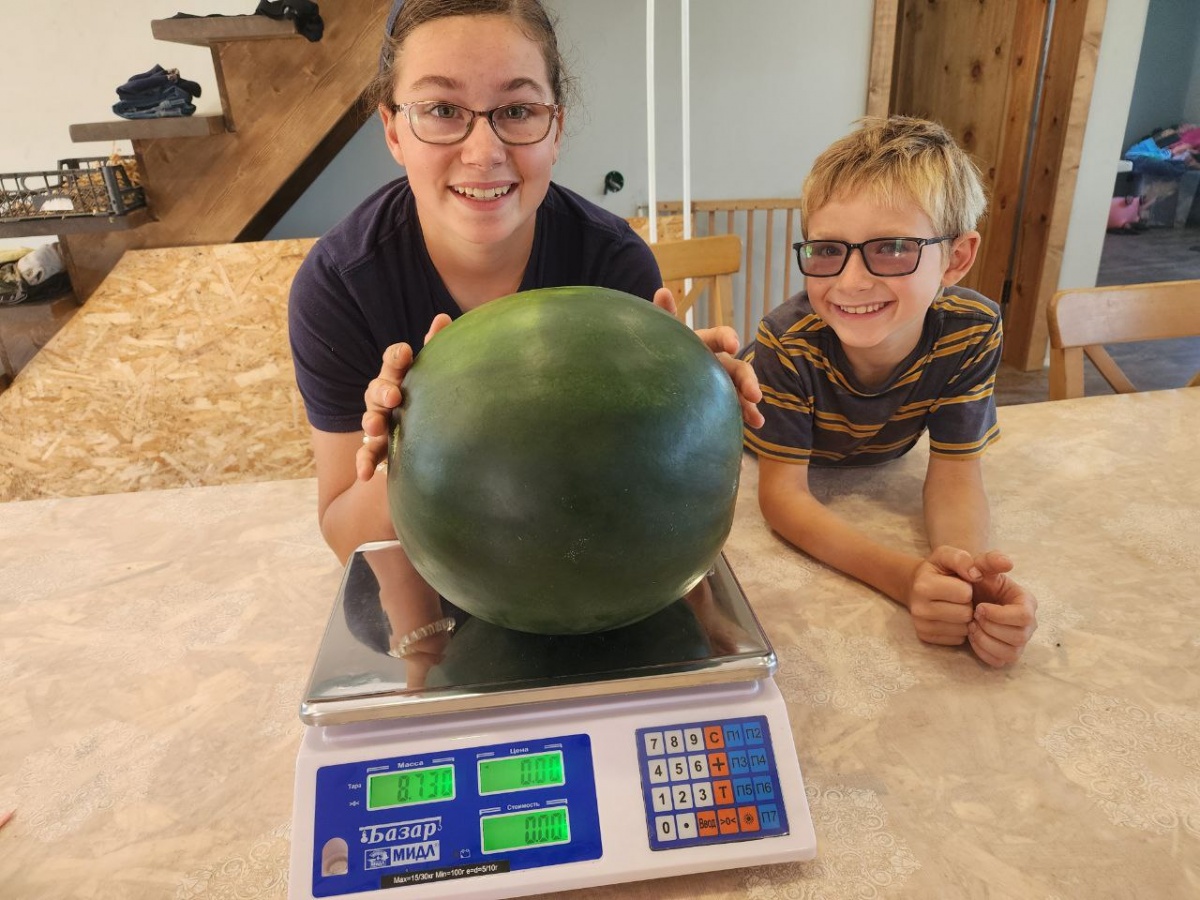 Переехавшие в Нижегородскую область канадцы вырастили огромный арбуз на ферме - фото 1