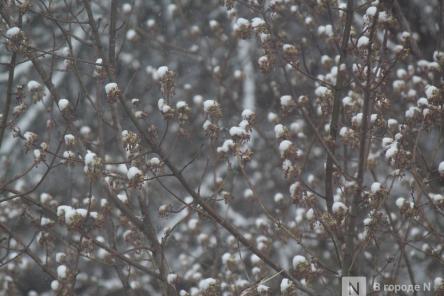 Опубликован прогноз погоды на мартовские праздники в Нижнем Новгороде