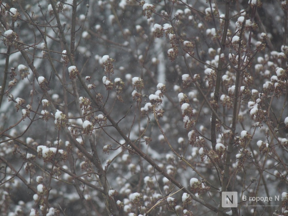 Снегопады еще вернутся: прогноз для Нижнего Новгорода с точными датами - фото 1