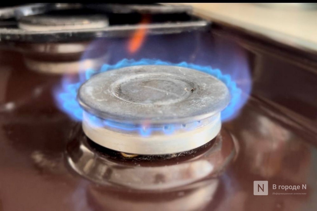 Гриневич обратится в прокуратуру из-за недобросовестных газовщиков - фото 1