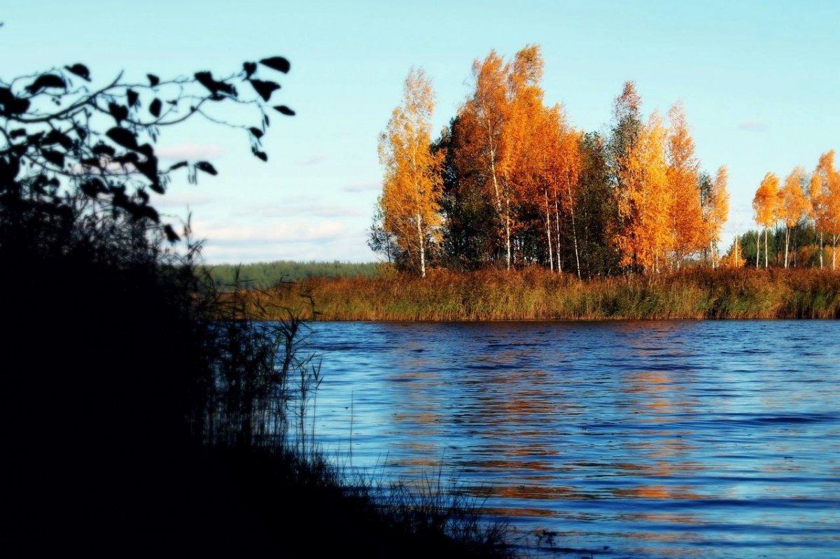 Синоптики рассказали, каким будет сентябрь в Нижегородской области - фото 1