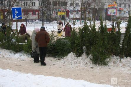 Елочные базары проверили в Нижнем Новгороде 