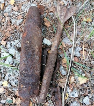 Около семи боеприпасов обнаружили грибники в нижегородском лесу - фото 2