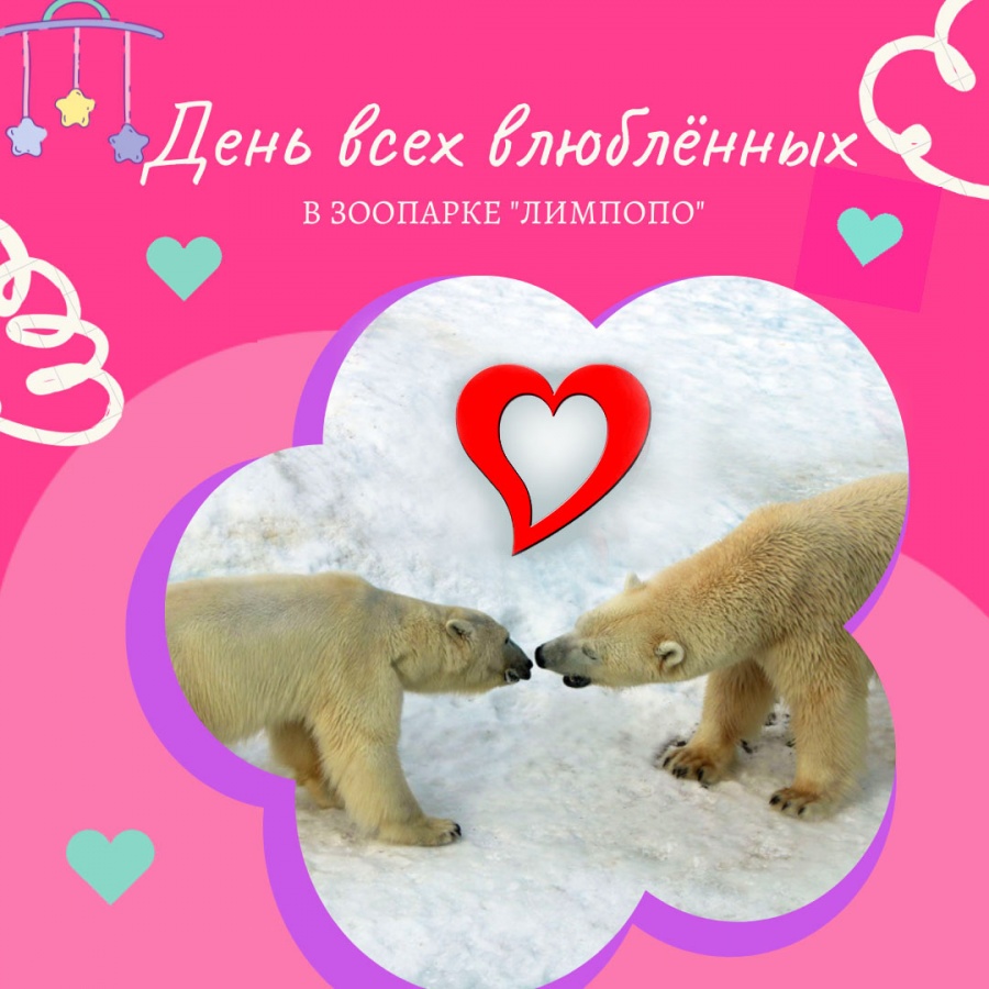 Влюбленные смогут пройти по одному билету в нижегородский зоопарк 14 февраля - фото 1