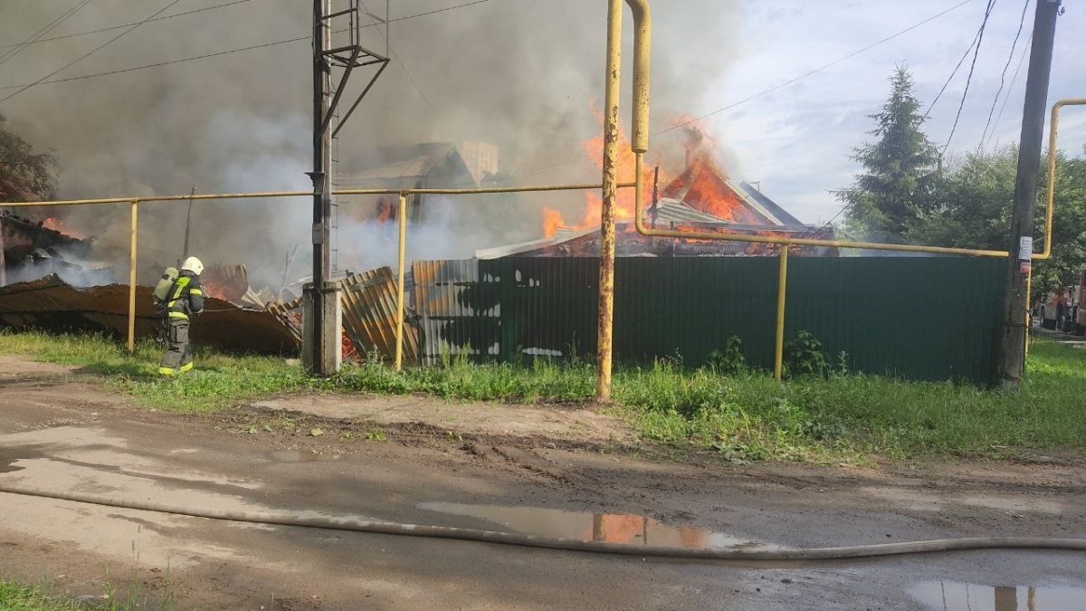 Более 15 собак погибли во время пожара в Нижнем Новгороде - фото 1