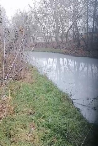 Река Борзовка в Нижнем Новгороде приобрела странный цвет - фото 1