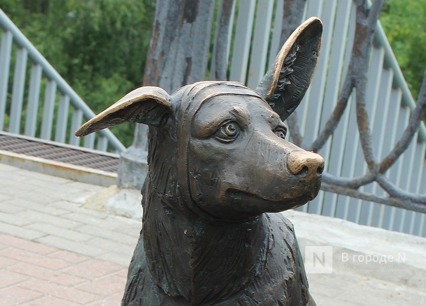 Город хвостатых скульптур: где в Нижнем Новгороде появились новые памятники животным - фото 16