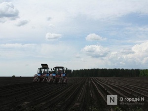 850 млн рублей субсидий получили нижегородские аграрии