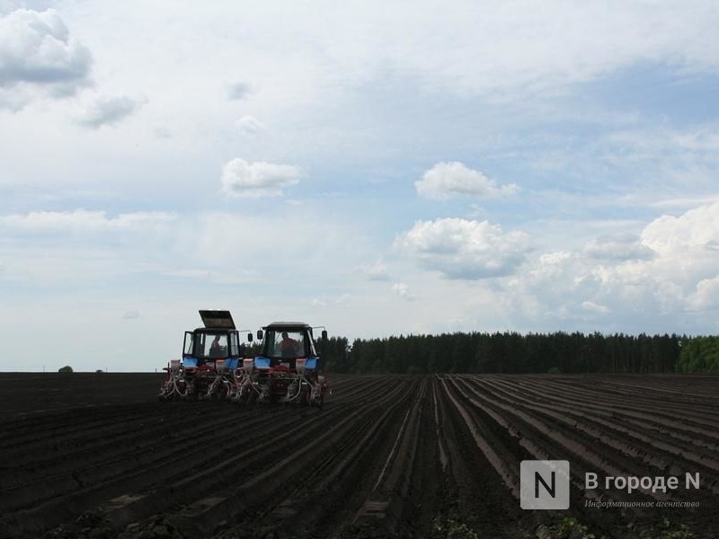 850 млн рублей субсидий получили нижегородские аграрии - фото 1